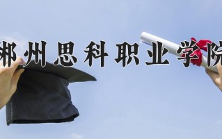 2024年郴州思科职业学院招生章程，附办学层次和录取规则