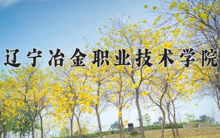 2024年辽宁冶金职业技术学院招生章程，附办学层次和录取规则