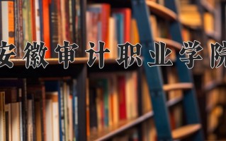 2024年安徽审计职业学院招生章程，附办学层次和录取规则