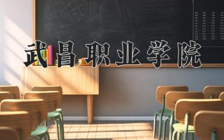 2025年武昌职业学院在新疆计划招生人数（附学费及专业录取分)