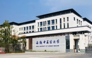 安徽中医药大学2024年各学科排名一览表！附教育部评级比例