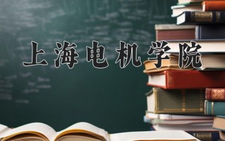 2025年上海电机学院在新疆计划招生人数（附学费及专业录取分)