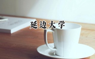 延边大学2024在江苏录取分数线是多少？最低562分/最高596分