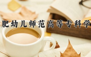 2024年合肥幼儿师范高等专科学校招生章程，附办学层次和录取规则