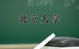2024年北京大学招生章程，附办学层次和录取规则