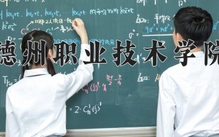 2025年德州职业技术学院在新疆计划招生人数（附学费及专业录取分)