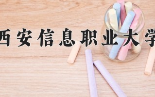 建筑经济信息化管理专业2025年广东招生院校有哪些？含学费及招生人数