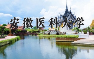 2024年安徽医科大学招生章程，附办学层次和录取规则