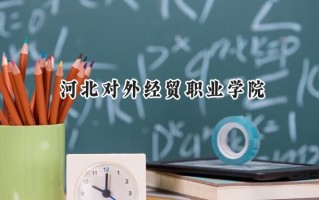 2024河北对外经贸职业学院录取分数线：江苏最低296分