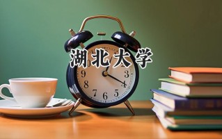 湖北大学2024在新疆录取分数线是多少？最低391分/最高491分