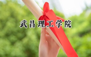 2024武昌理工学院录取分数线：江苏最低464分