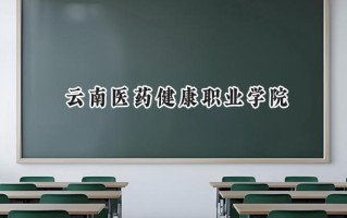 云南医药健康职业学院2024在青海录取分数线是多少？最低280分/最高361分