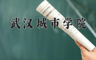 2024武汉城市学院录取分数线，重庆录取最低分440