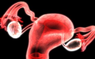女性️多囊能生孩子吗？确诊多囊是不是就等于生育困难【多囊能不能生小孩】