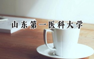 2024山东第一医科大学录取分数线：陕西最低447分