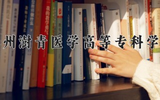 2024年郑州澍青医学高等专科学校招生章程，附办学层次和录取规则