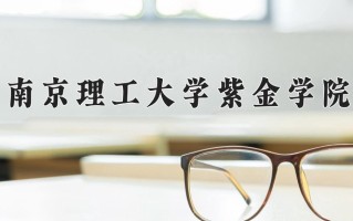 2025年南京理工大学紫金学院在新疆计划招生人数（附学费及专业录取分)