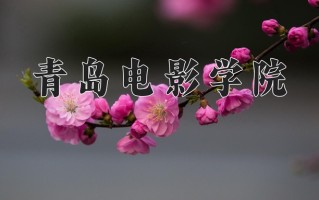 青岛电影学院王牌专业有哪些？附2025最新王牌专业排名一览表
