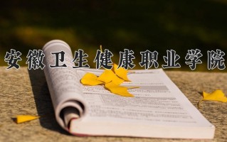 2024安徽卫生健康职业学院录取分数线：浙江最低481分