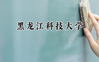 黑龙江科技大学2024在上海录取分数线是多少？最低421分/最高431分