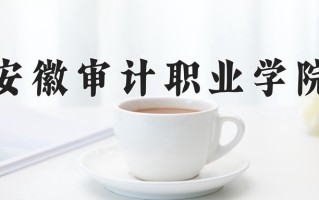 安徽审计职业学院一年学费多少钱及各专业的收费标准(2025参考）