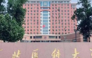 广东考生528分物理类能上什么大学？ 附2024年能上的院校名单