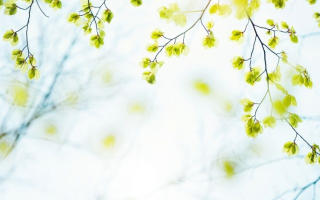 谷雨种什么菜蔬菜最合适？各气候带不同种植方案【谷雨种菜行吗】