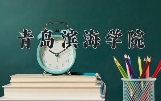 2024年青岛滨海学院招生章程，附办学层次和录取规则