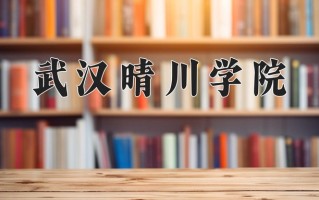武汉晴川学院一年学费多少钱及各专业的收费标准(2025参考）