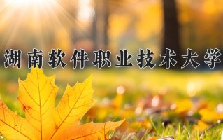 2025年湖南软件职业技术大学在四川计划招生人数（附学费及专业录取分)