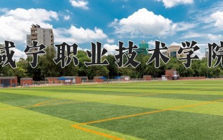 2025年咸宁职业技术学院在新疆计划招生人数（附学费及专业录取分)