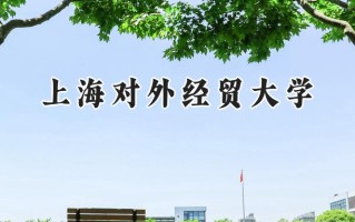 上海对外经贸大学2024在上海录取分数线是多少？最低512分/最高535分