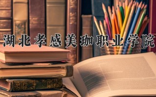 2025年湖北孝感美珈职业学院在河北计划招生人数（附学费及专业录取分)