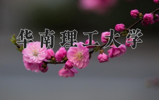 2024年华南理工大学招生章程，附办学层次和录取规则