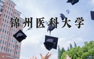 2024年锦州医科大学招生章程，附办学层次和录取规则