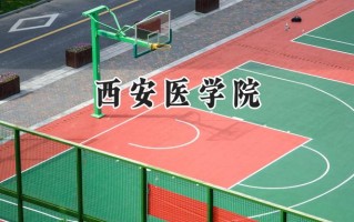 2024西安医学院录取分数线：山西最低443分
