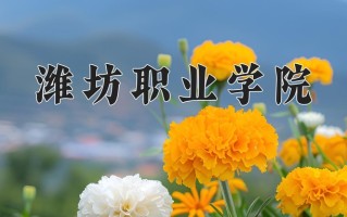 2024年潍坊职业学院招生章程，附办学层次和录取规则