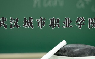 武汉城市职业学院一年学费多少钱及各专业的收费标准(2025参考）