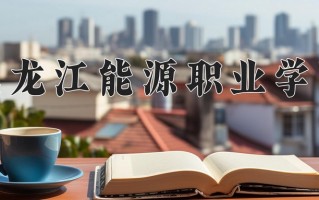 2025年黑龙江能源职业学院在新疆计划招生人数（附学费及专业录取分)