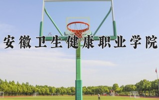 2024年安徽卫生健康职业学院招生章程，附办学层次和录取规则