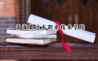 2024青海柴达木职业技术学院录取分数线：宁夏最低308分