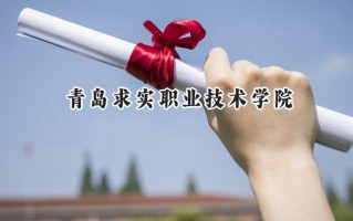 青岛求实职业技术学院2024在江苏录取分数线是多少？最低246分/最高397分