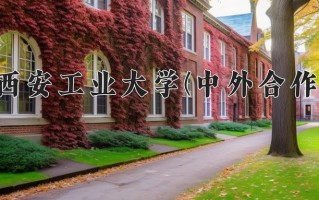 2025年西安工业大学(中外合作)在重庆计划招生人数（附学费及专业录取分)