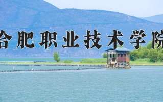 2024年合肥职业技术学院招生章程，附办学层次和录取规则