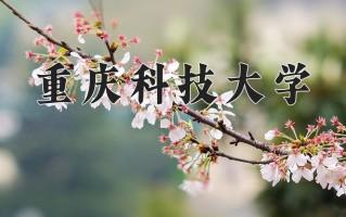 2025年重庆科技大学在四川计划招生人数（附学费及专业录取分)
