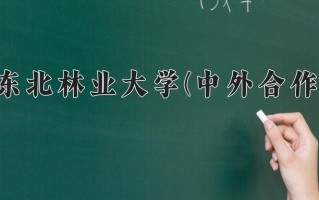 2025年东北林业大学(中外合作)在四川计划招生人数（附学费及专业录取分)