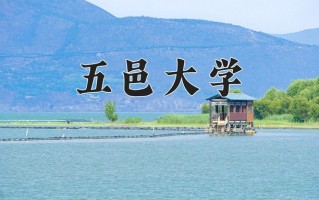 2024年五邑大学招生章程，附办学层次和录取规则