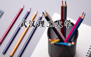 武汉理工大学2024在新疆录取分数线是多少？最低505分/最高548分