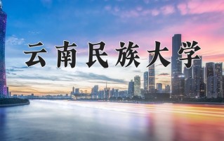 2025年云南民族大学在河南计划招生人数（附学费及专业录取分)