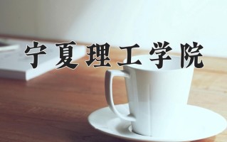 宁夏理工学院一年学费多少钱及各专业的收费标准(2025参考）